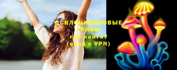 ПСИЛОЦИБИНОВЫЕ ГРИБЫ Богородицк