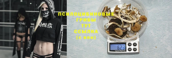 MDMA Premium VHQ Богданович