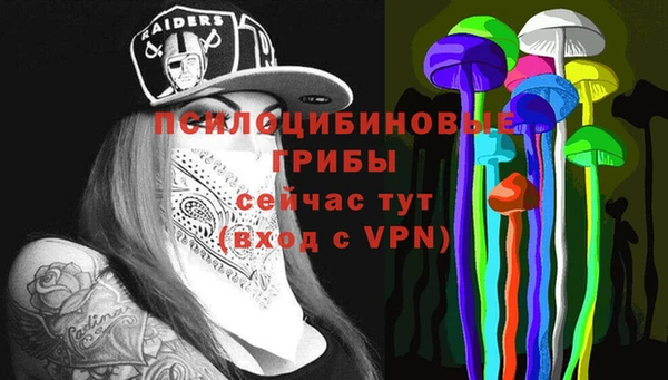 ПСИЛОЦИБИНОВЫЕ ГРИБЫ Богородицк