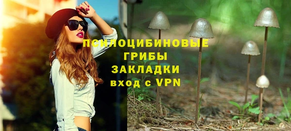 ПСИЛОЦИБИНОВЫЕ ГРИБЫ Богородицк